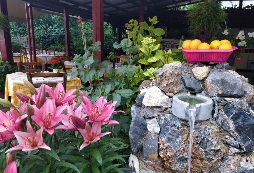 Отель Dionysus Lasithi Plateau