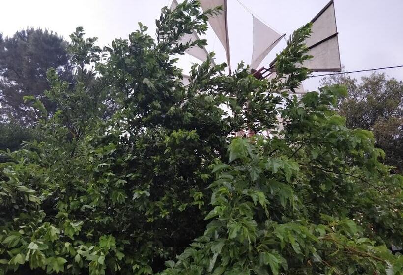 Отель Dionysus Lasithi Plateau