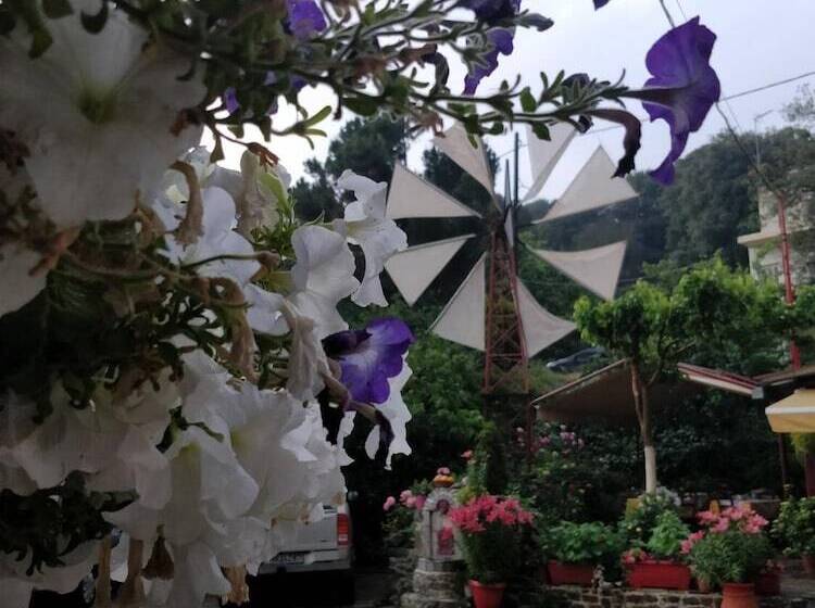 Отель Dionysus Lasithi Plateau