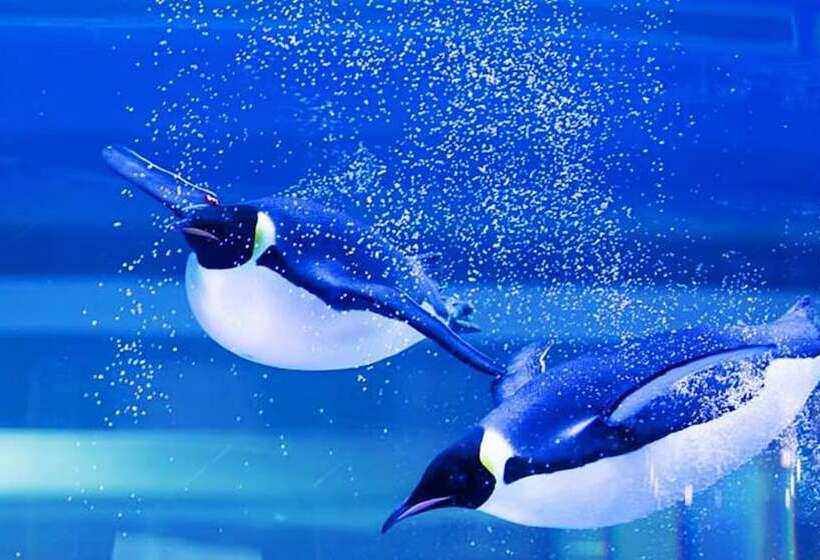 Отель Holiday Inn Shanghai Dishui Lake By Ihg