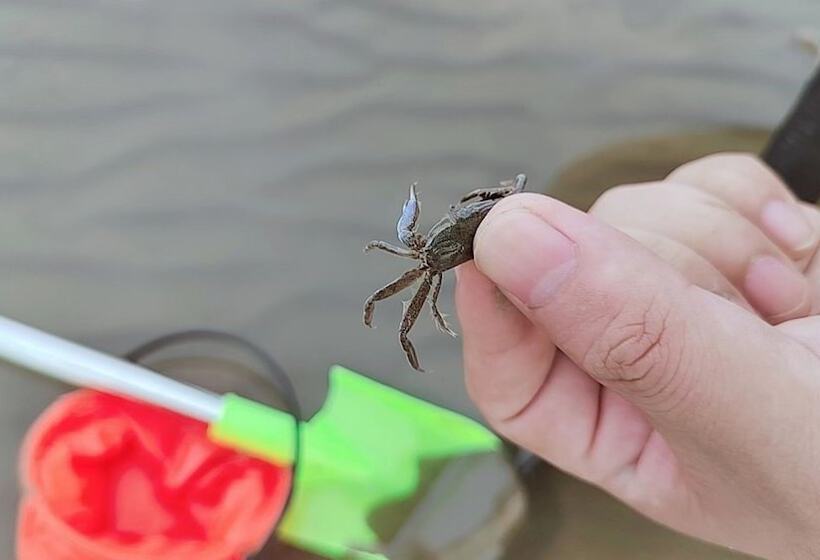 Отель Holiday Inn Shanghai Dishui Lake By Ihg