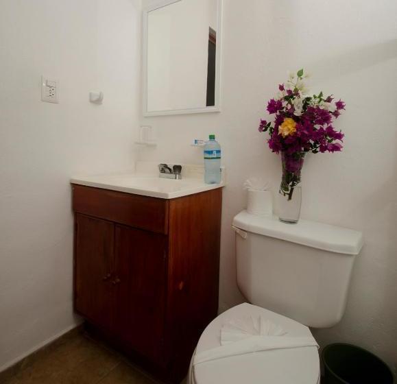 호텔 International House Riviera Maya