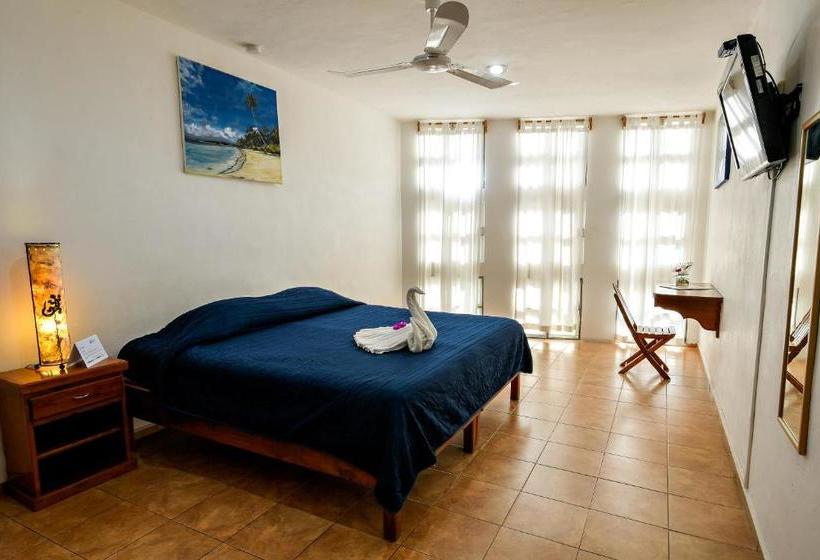 호텔 International House Riviera Maya