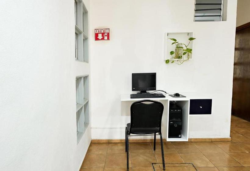 호텔 International House Riviera Maya