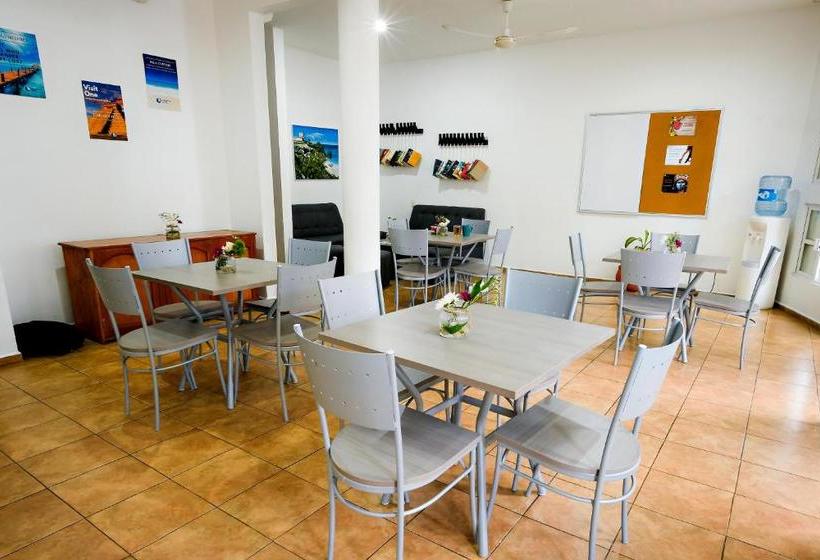 호텔 International House Riviera Maya