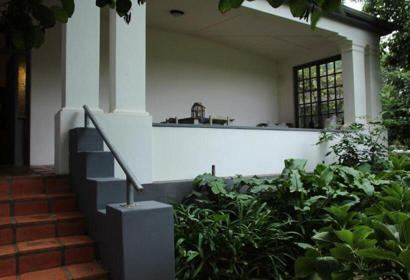 בית מלון כפרי Jan Harmsgat Country House