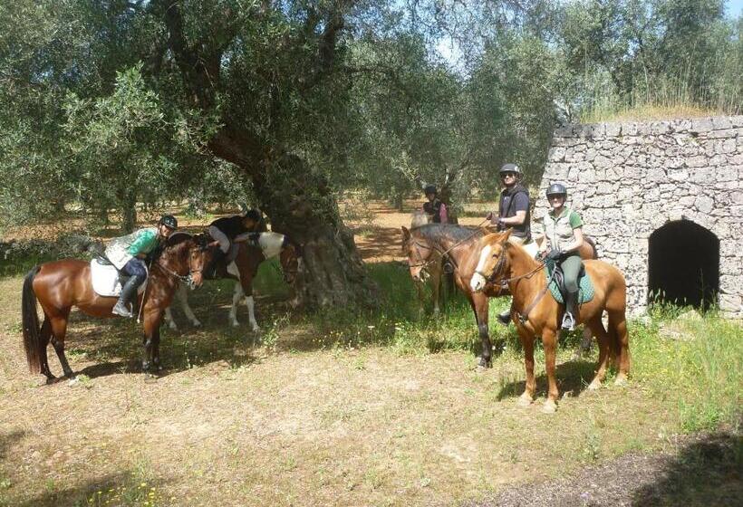 فندق Masseria Li Campi