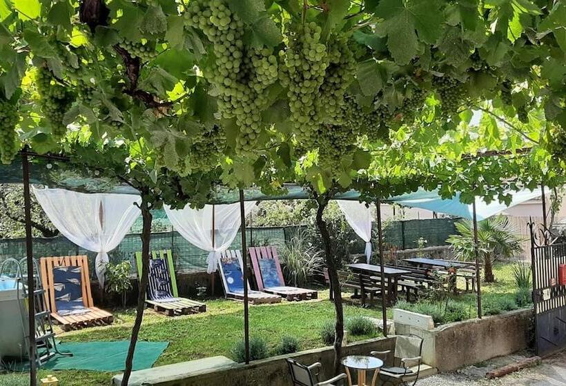 هتل Residence Muzica Bed And Breakfast