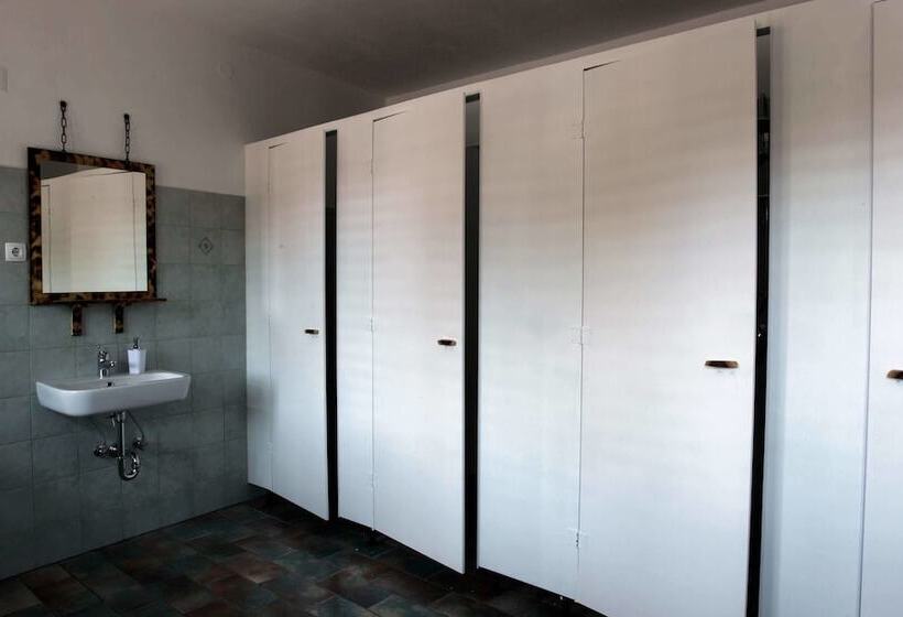 هتل Residence Muzica Bed And Breakfast