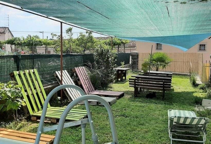 هتل Residence Muzica Bed And Breakfast