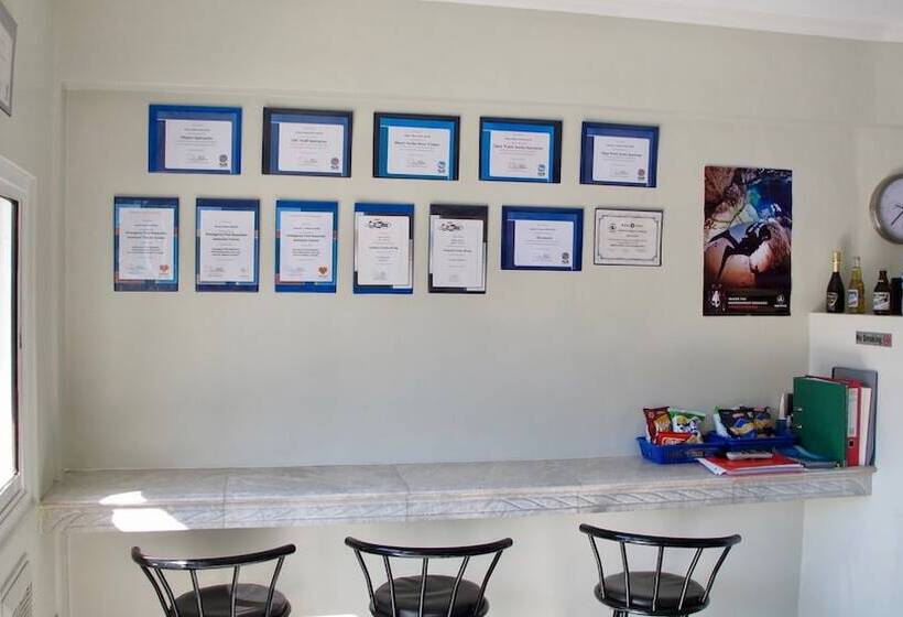 Hotel Romblon Fun Divers & Inn