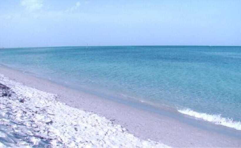 فندق Silver Sands Beach Resort