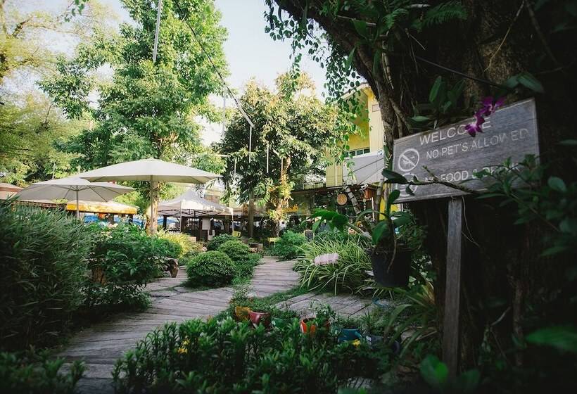 호텔 Suantung Coffee & Guesthouse