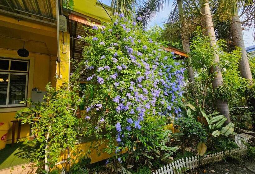 호텔 Suantung Coffee & Guesthouse