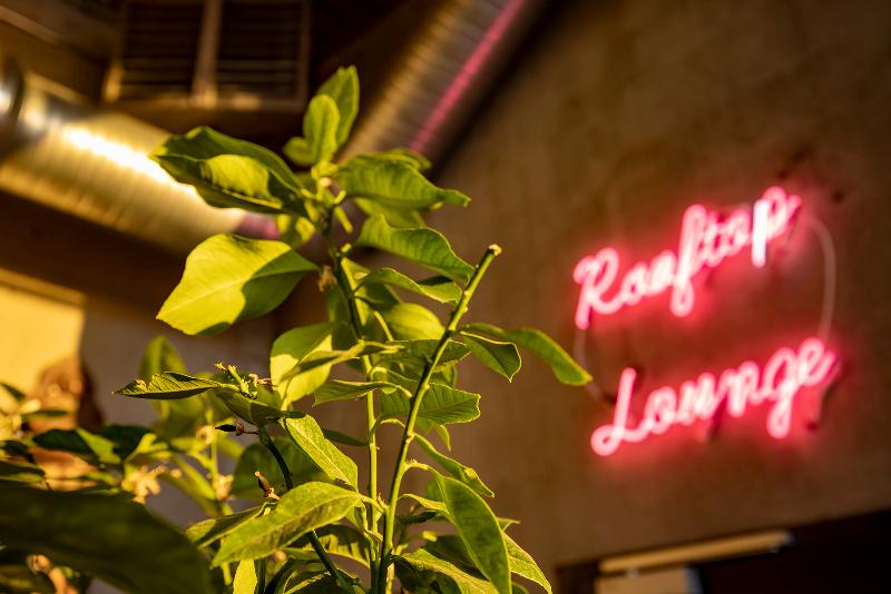 هتل The Greenhouse