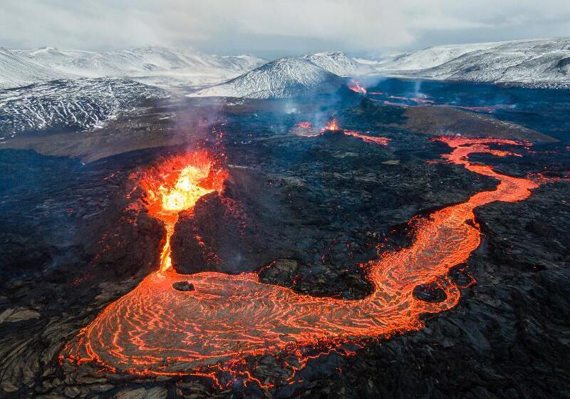 هتل The Greenhouse