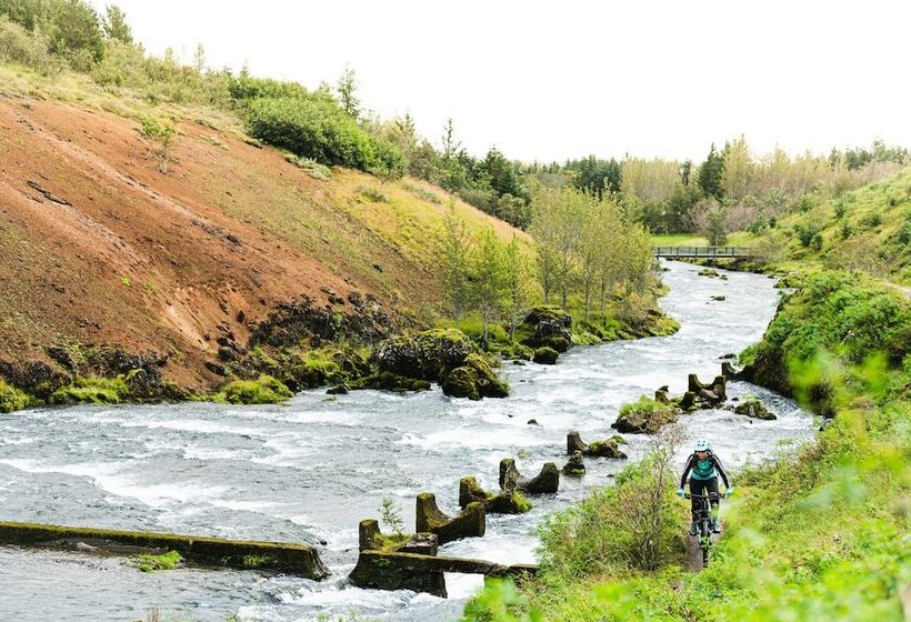 هتل The Greenhouse