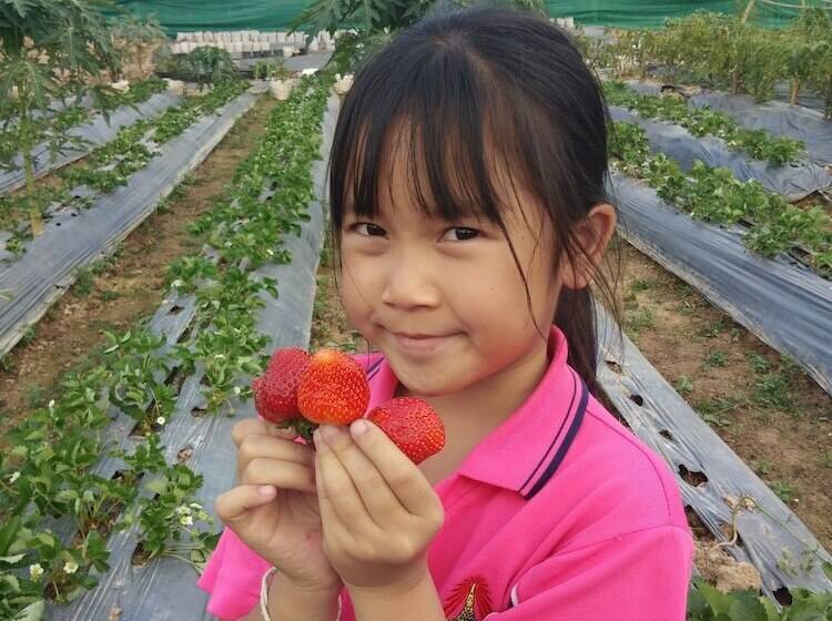 Отель Thong Hug House Resort