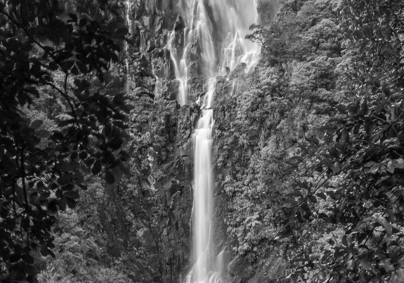 فندق Villa Walton