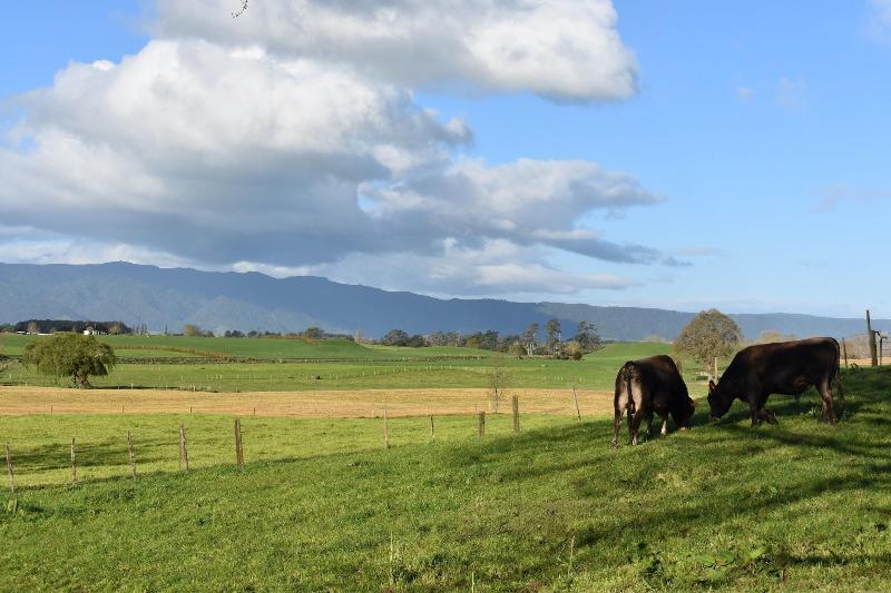 فندق Villa Walton