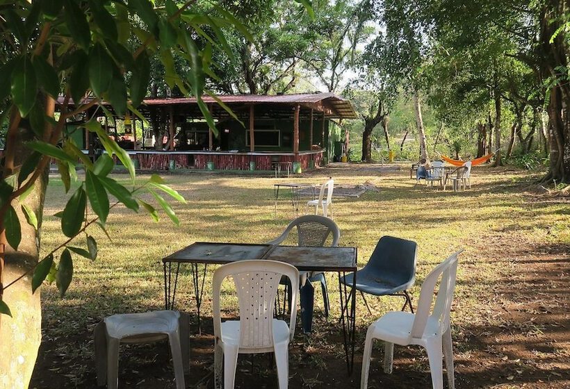 酒店 Waterfall Hostel