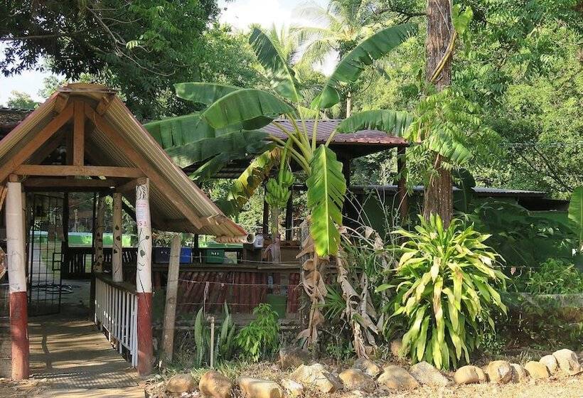 酒店 Waterfall Hostel