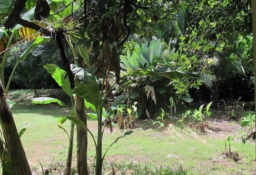 酒店 Waterfall Hostel