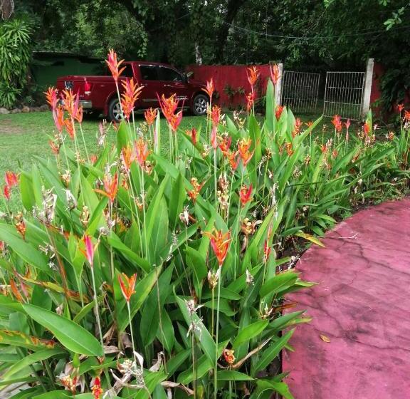 酒店 Waterfall Hostel