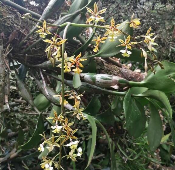 酒店 Waterfall Hostel