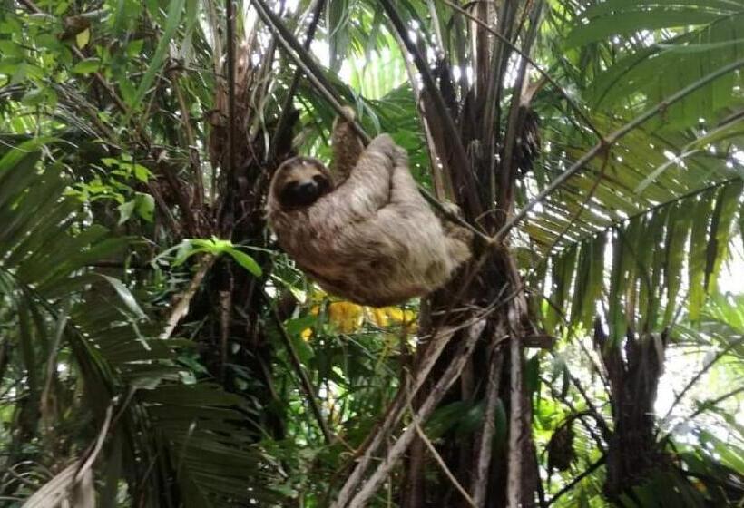 酒店 Waterfall Hostel