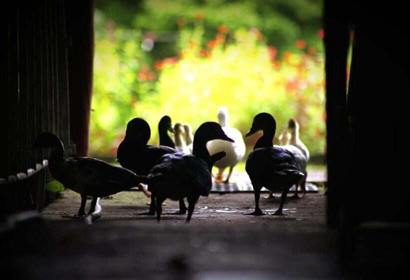 酒店 Waterfall Hostel