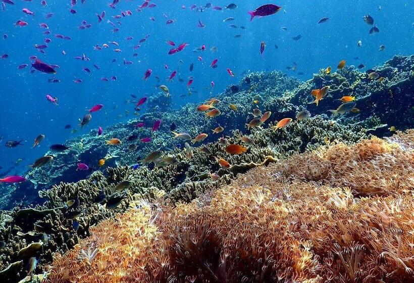 Love's Beach & Dive Resort