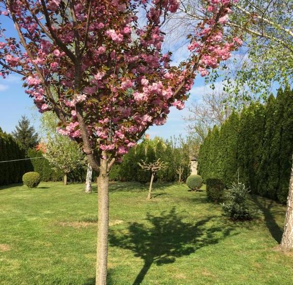 פנסיון Silentium Garden Apartman Sárvár