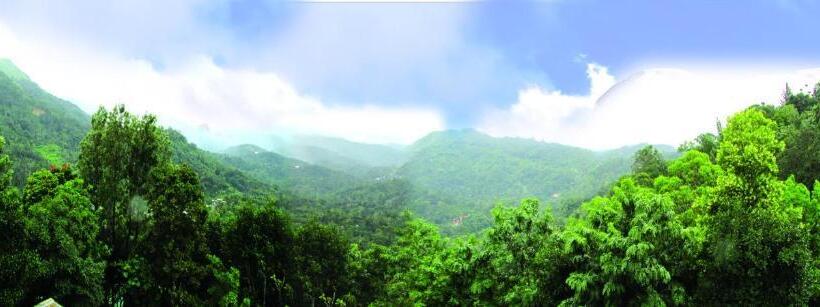 استراحتگاه Green Trees Munnar
