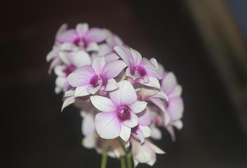 Bed and Breakfast Bendito Recanto