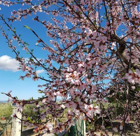 Finca La Higuera   Boutique B&b