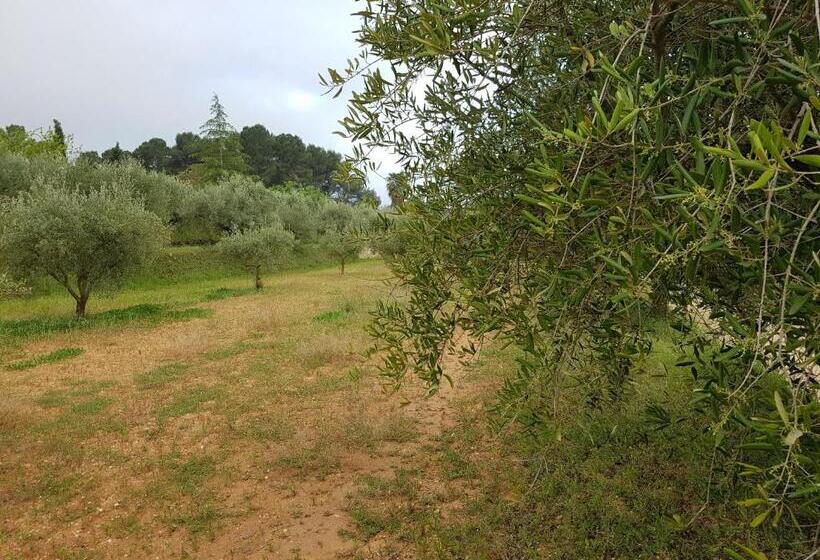 Finca La Higuera   Boutique B&b