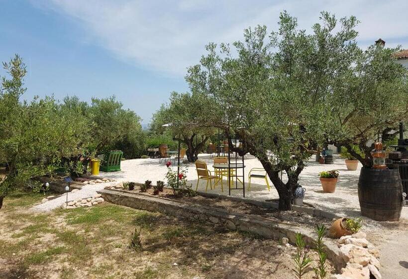 Finca La Higuera   Boutique B&b