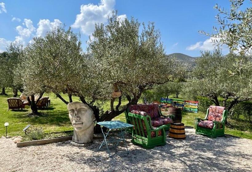 Finca La Higuera   Boutique B&b