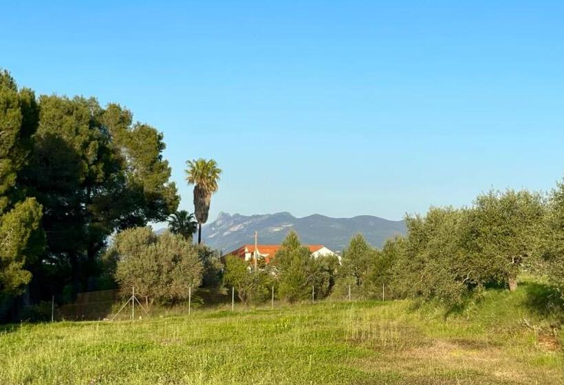 Finca La Higuera   Boutique B&b