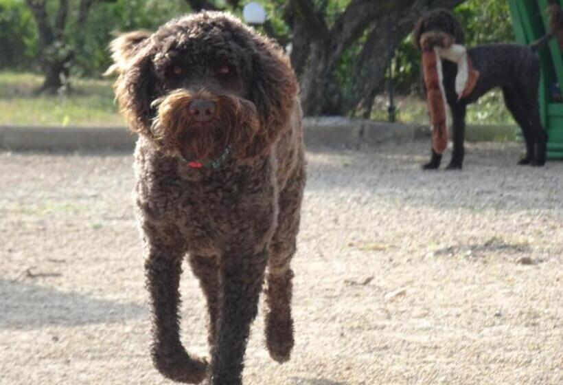 Finca La Higuera   Boutique B&b