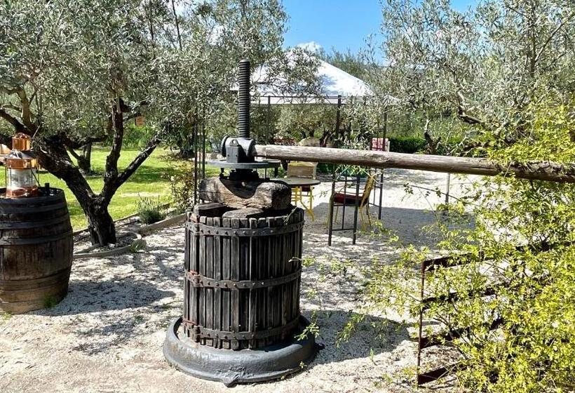 Finca La Higuera   Boutique B&b