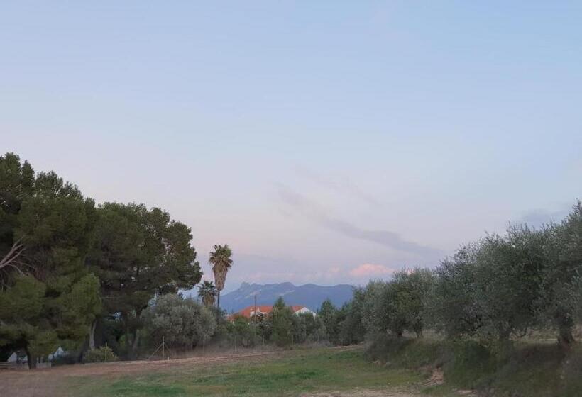 Finca La Higuera   Boutique B&b