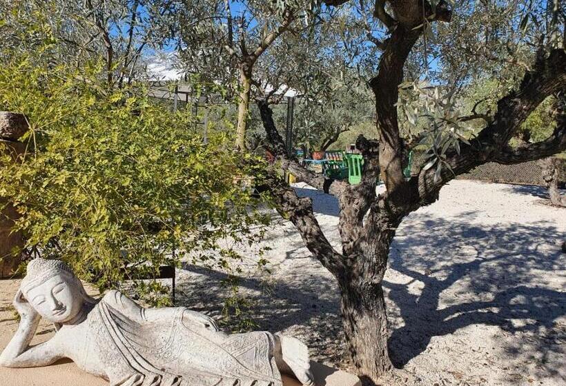 Finca La Higuera   Boutique B&b