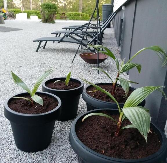 Gotland Of Sweden Bed & Breakfast