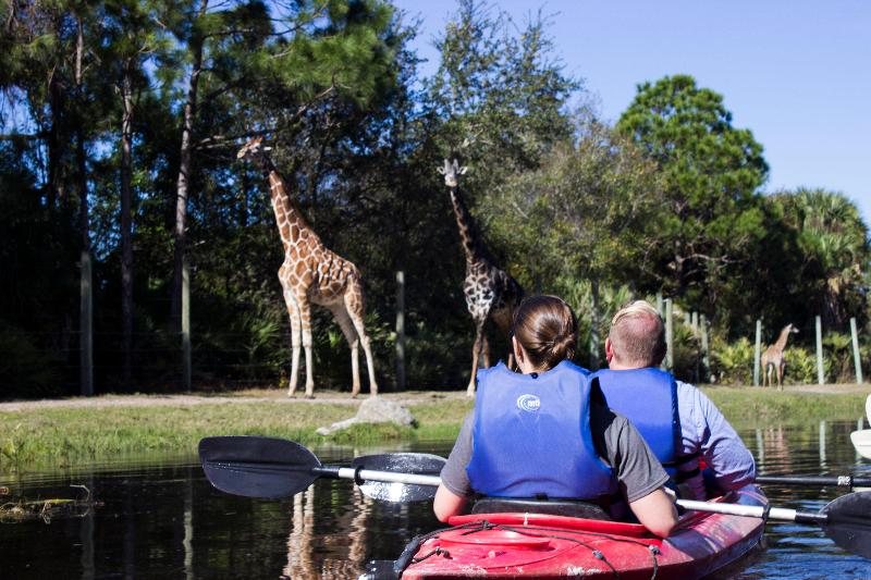 Avid Hotels   Melbourne   Viera, An Ihg