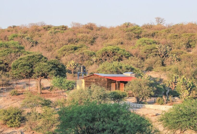 酒店 Centro Ecoturístico Tatu By Rotamundos