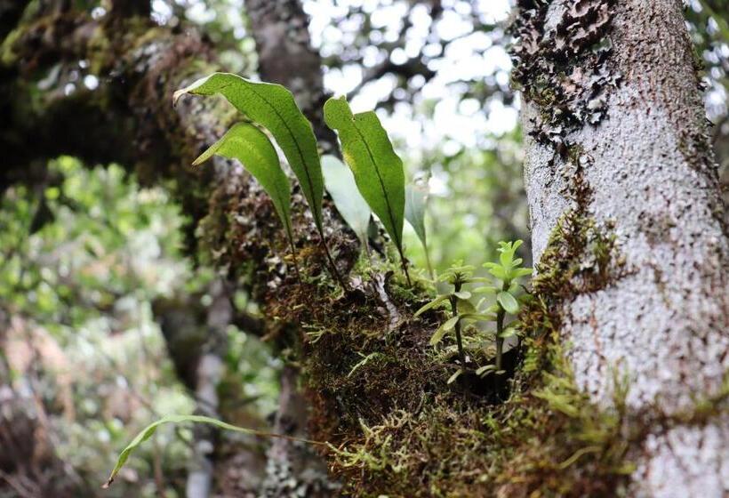 ホテル Lancers   Pantano De Vargas Paipa Boyacá