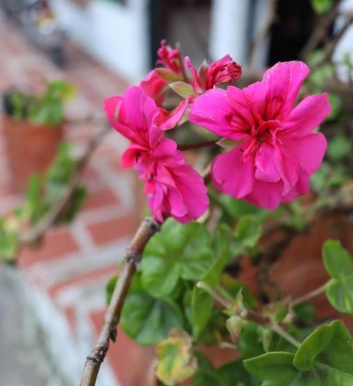 ホテル Lancers   Pantano De Vargas Paipa Boyacá