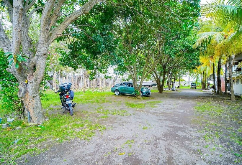 בית מלון כפרי Star Cove Bed And Breakfast